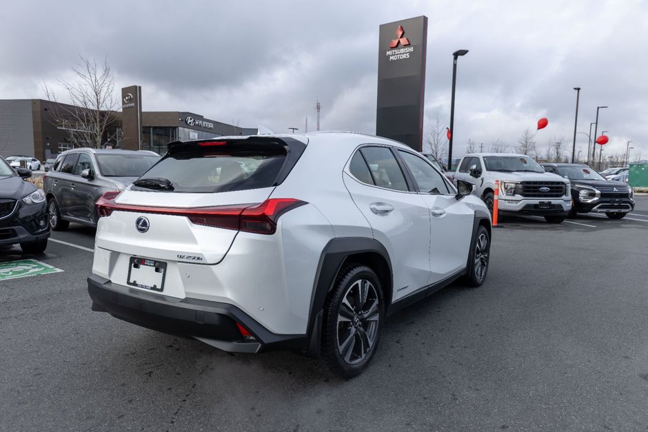 2019 Lexus UX 250h-5