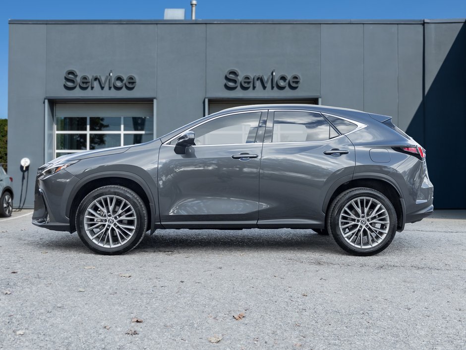 2025 Lexus NX 350h AWD/ LOW KM/ SAFETY CERTIFIED/ RED INT-2