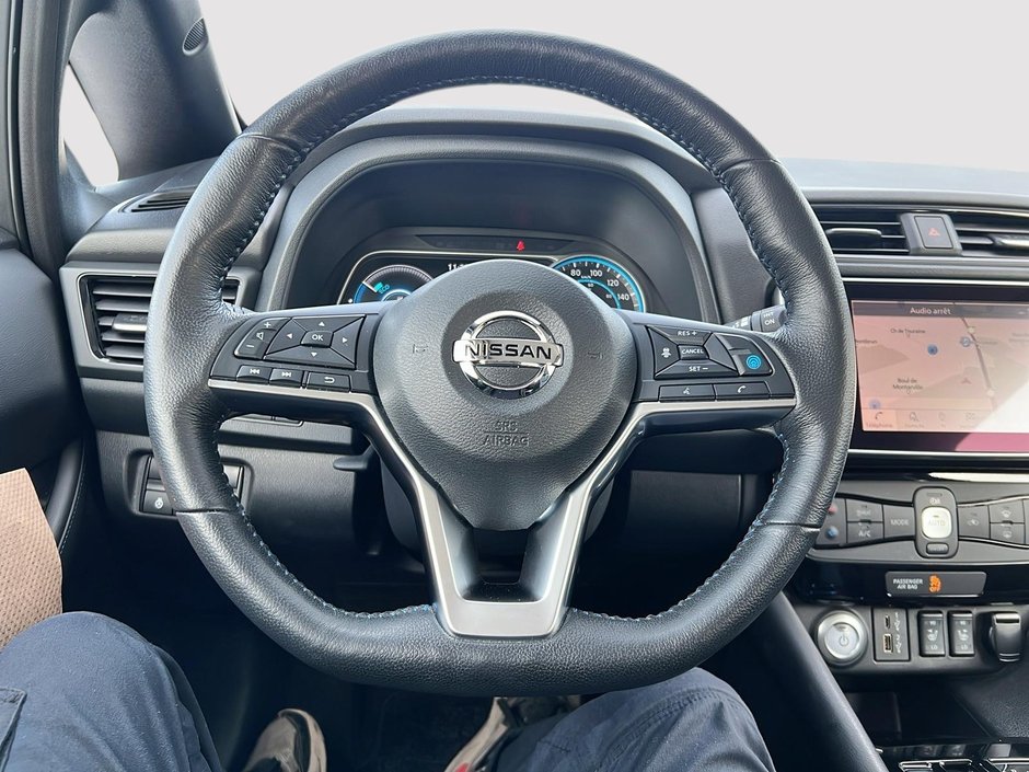 Nissan LEAF sl plus 2020-10