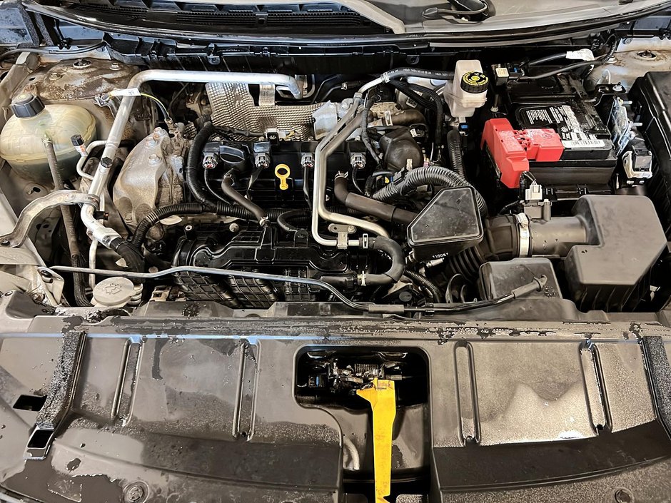 Nissan Rogue SV Privilege 2021-7