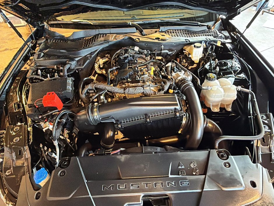 2024 Ford Mustang ECOBOOST-7