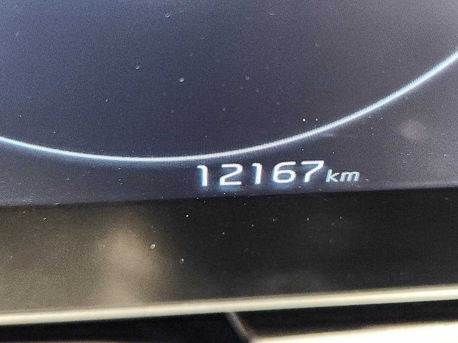 Kia Niro EV WAVE 2024-12