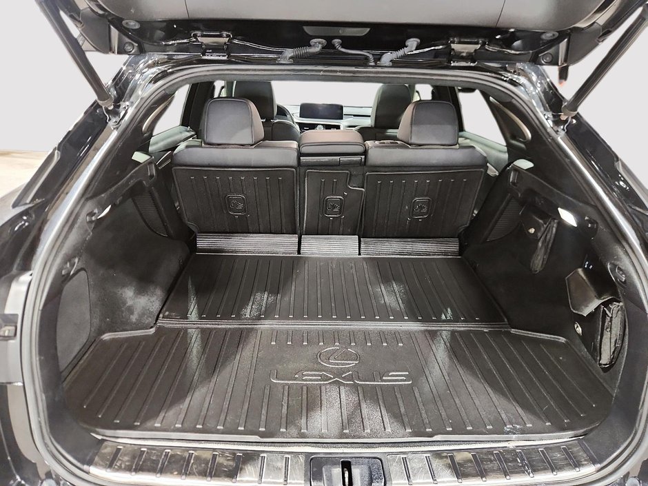 2021 Lexus RX 450H-5