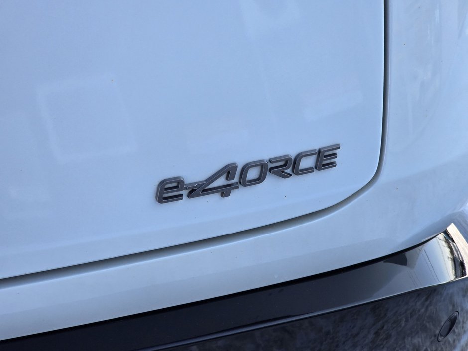 Nissan ARIYA PREMIERE E-4ORCE 2023-8