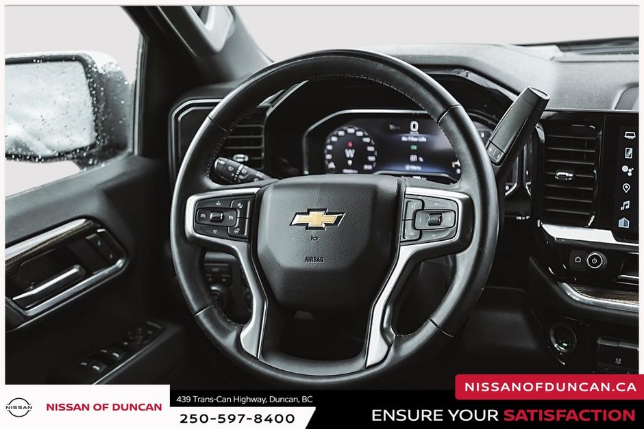 2025 Chevrolet Silverado 1500 LT-19