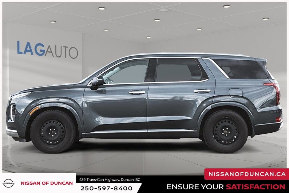 2021 Hyundai Palisade Ultimate-2