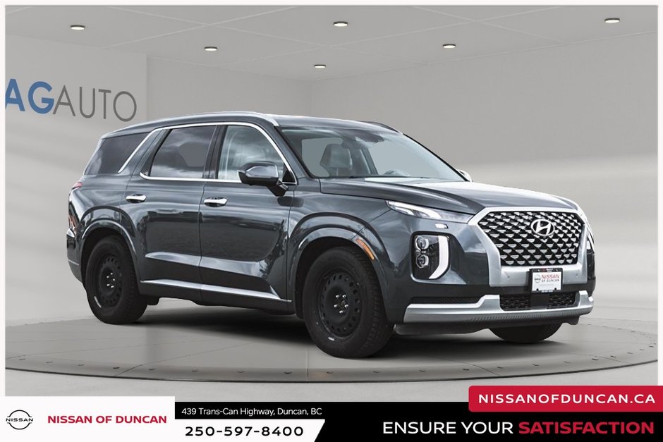 2021 Hyundai Palisade Ultimate-7