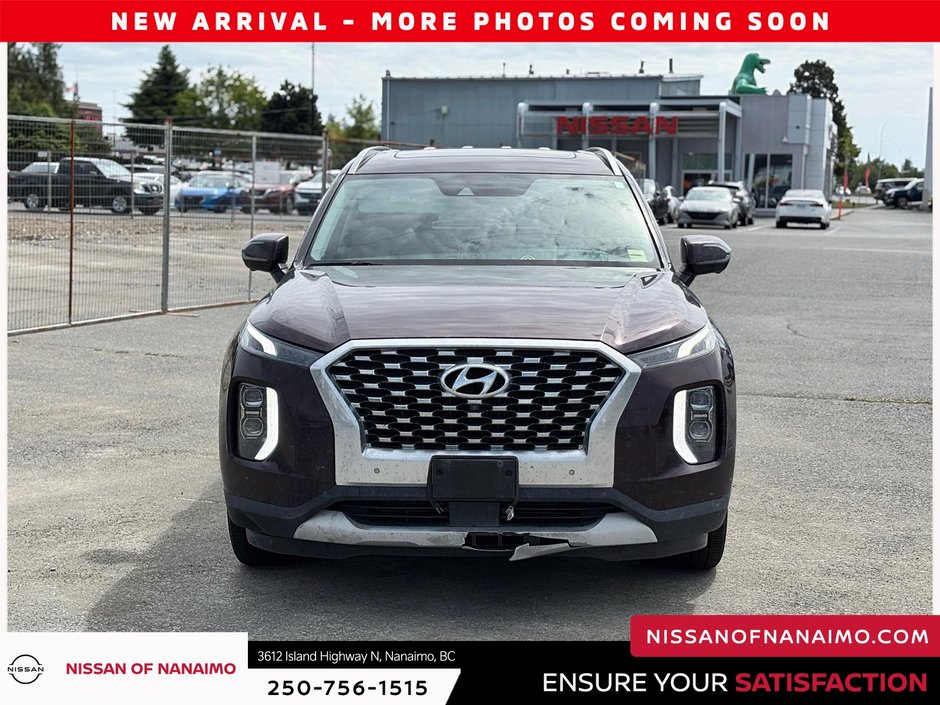 2020 Hyundai Palisade Luxury-1