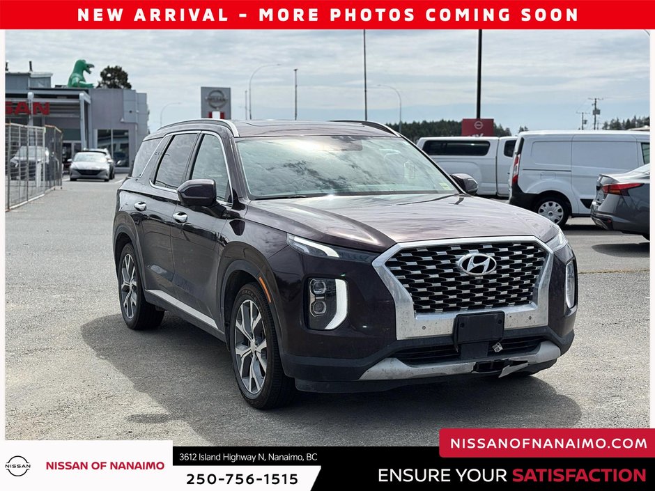 2020 Hyundai Palisade Luxury-2