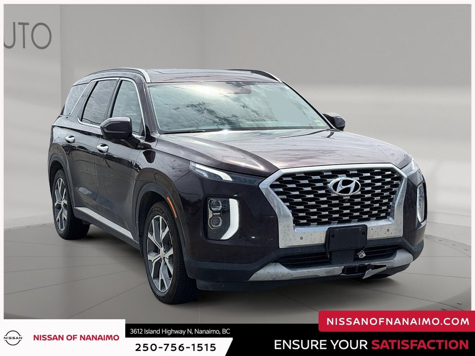 2020 Hyundai Palisade Luxury-2