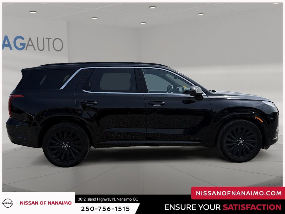 2025 Hyundai Palisade Ultimate-3