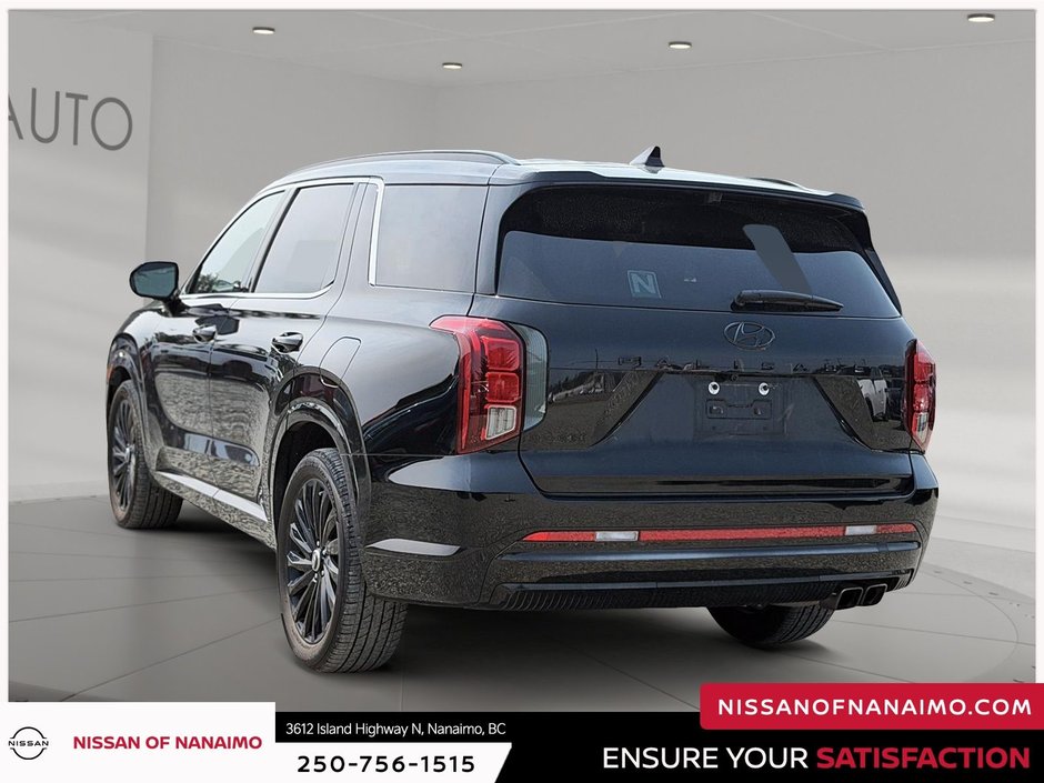 2025 Hyundai Palisade Ultimate-6