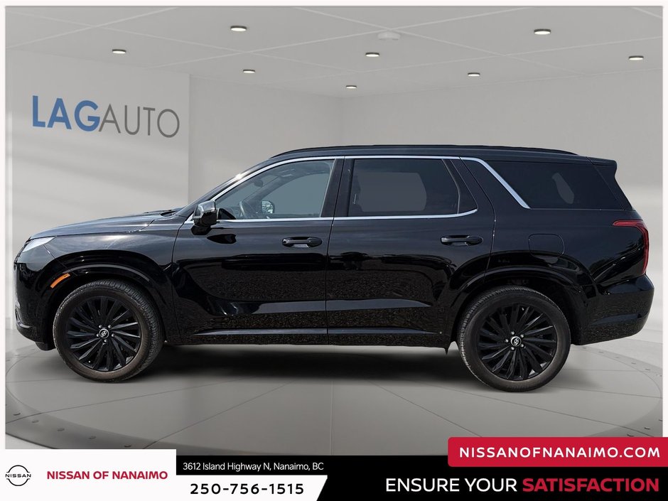 2025 Hyundai Palisade Ultimate-7