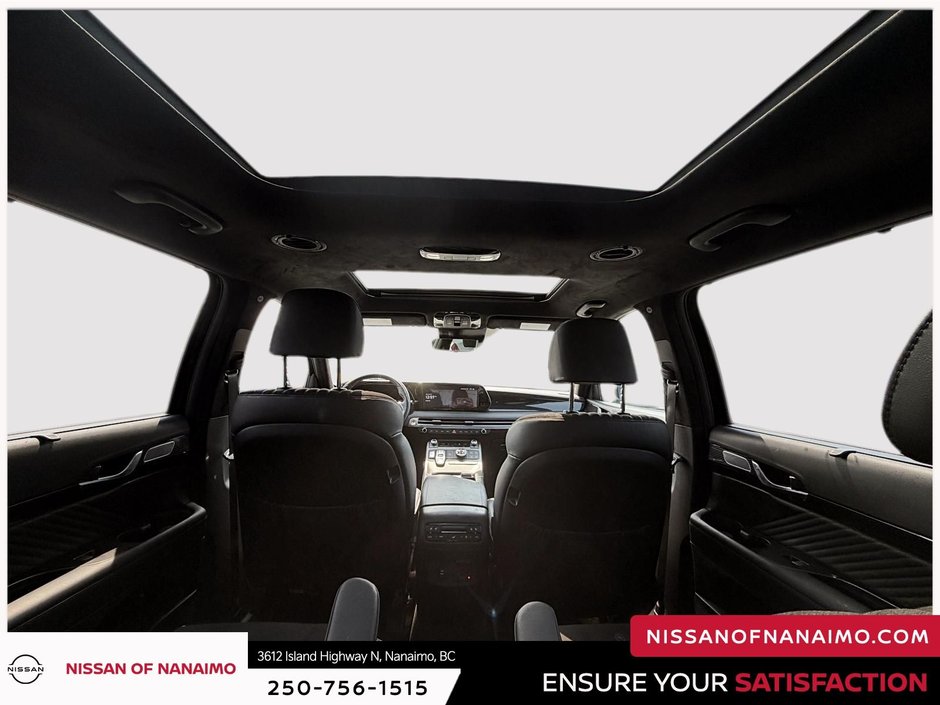 2025 Hyundai Palisade Ultimate-20