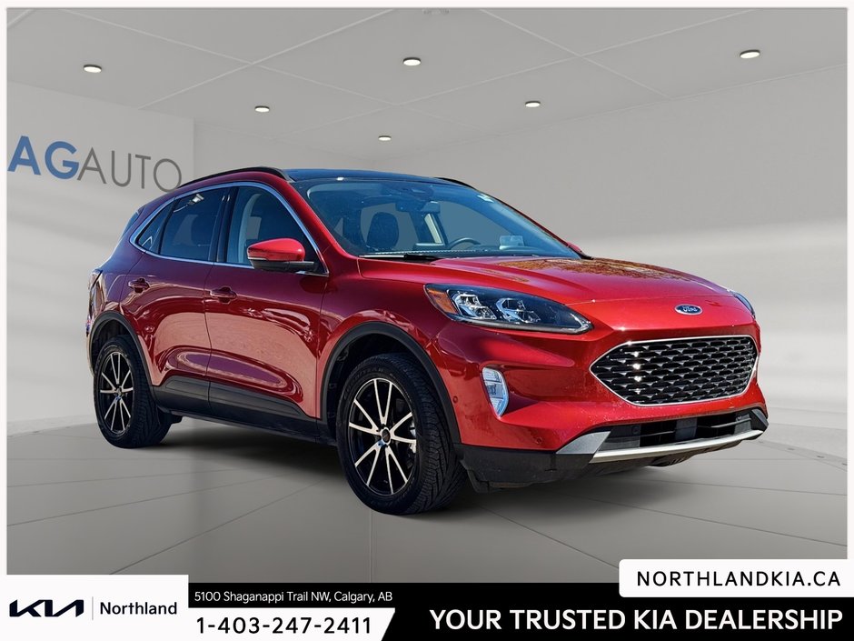 2020 Ford Escape Hybrid Titanium-4