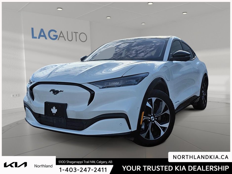 2021 Ford Mustang Mach-E Premium-0