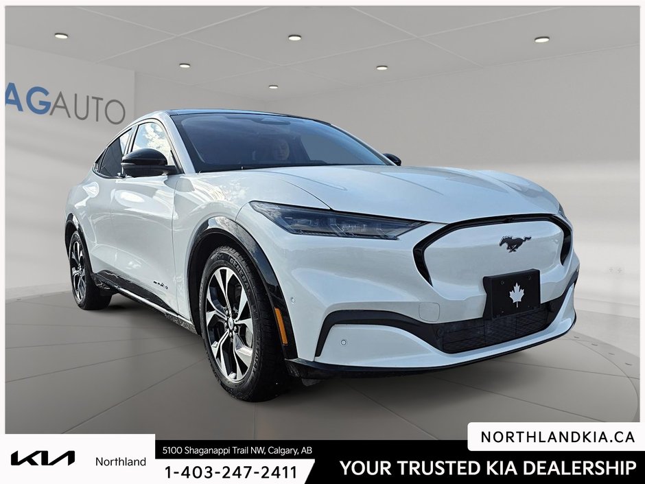 2021 Ford Mustang Mach-E Premium-4