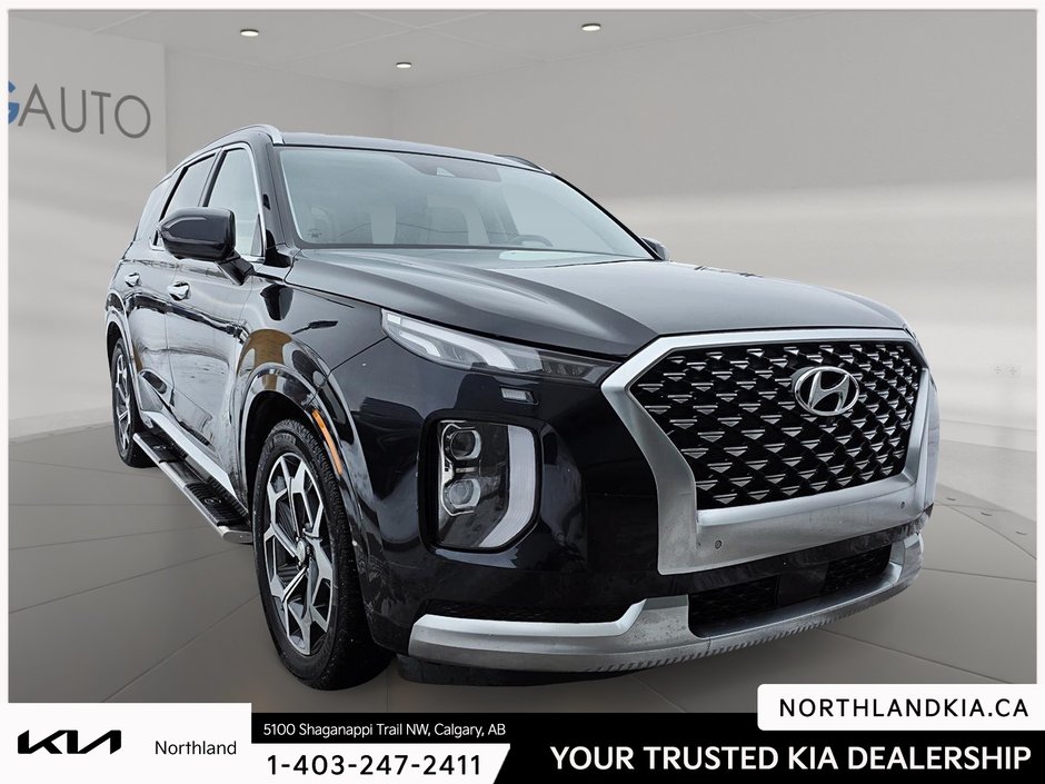2021 Hyundai Palisade Ultimate-4