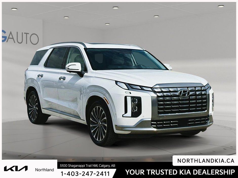 2024 Hyundai Palisade Ultimate-4