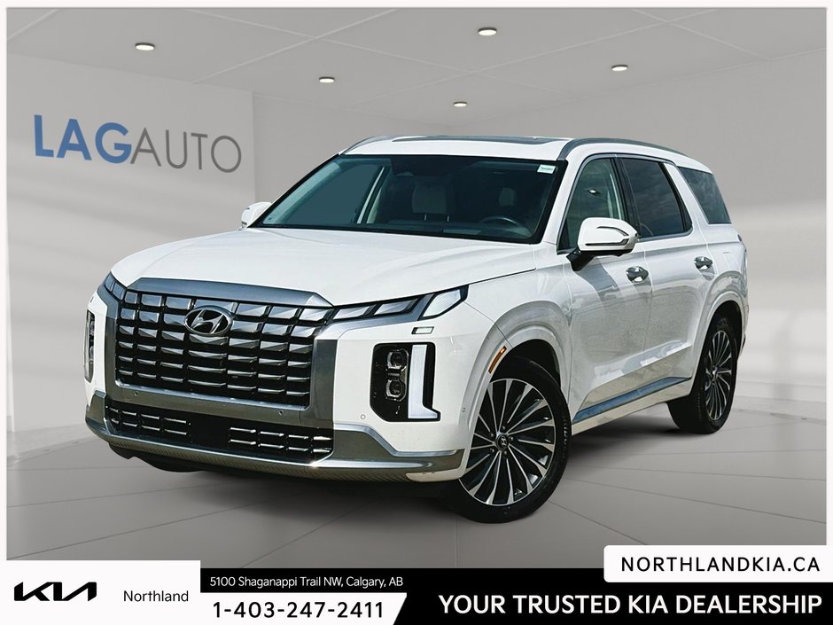 2024 Hyundai Palisade Ultimate-0