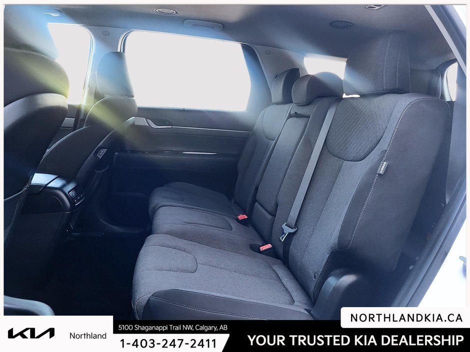2024 Hyundai Palisade Preferred-21