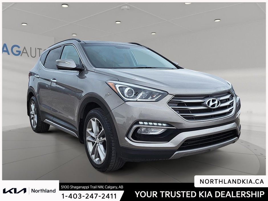 2017 Hyundai Santa Fe Sport 2.0T-4