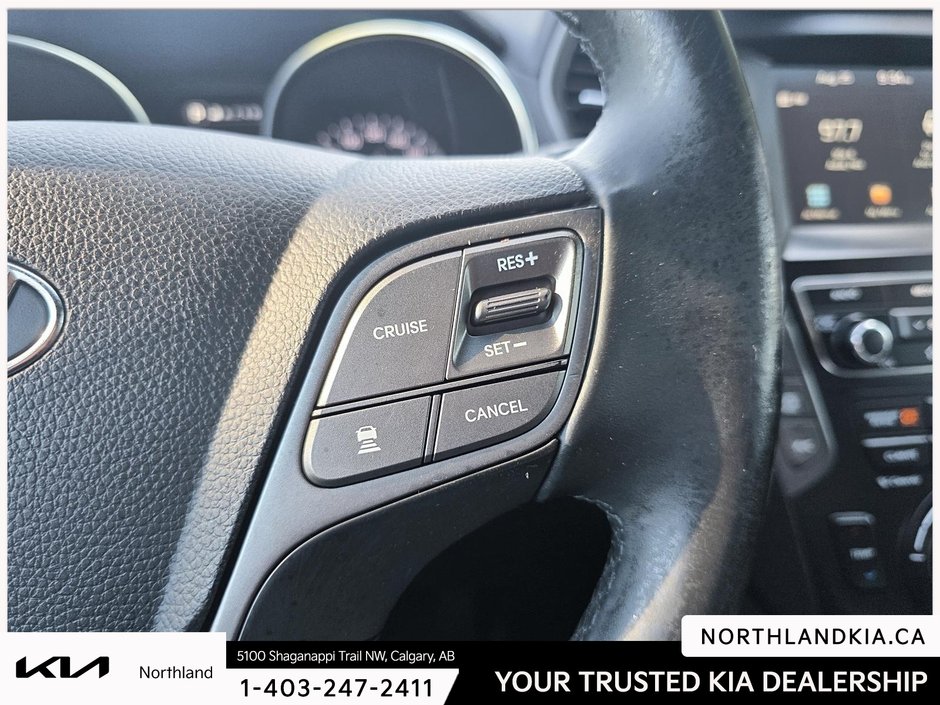 2019 Hyundai Santa Fe XL SE-13