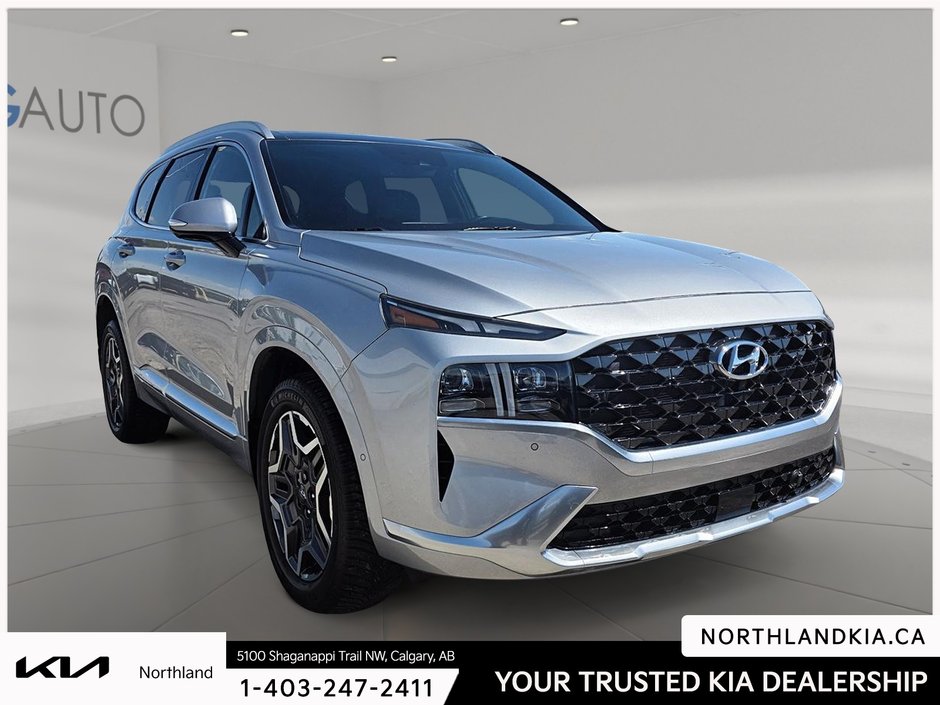 2021 Hyundai Santa Fe Ultimate-4