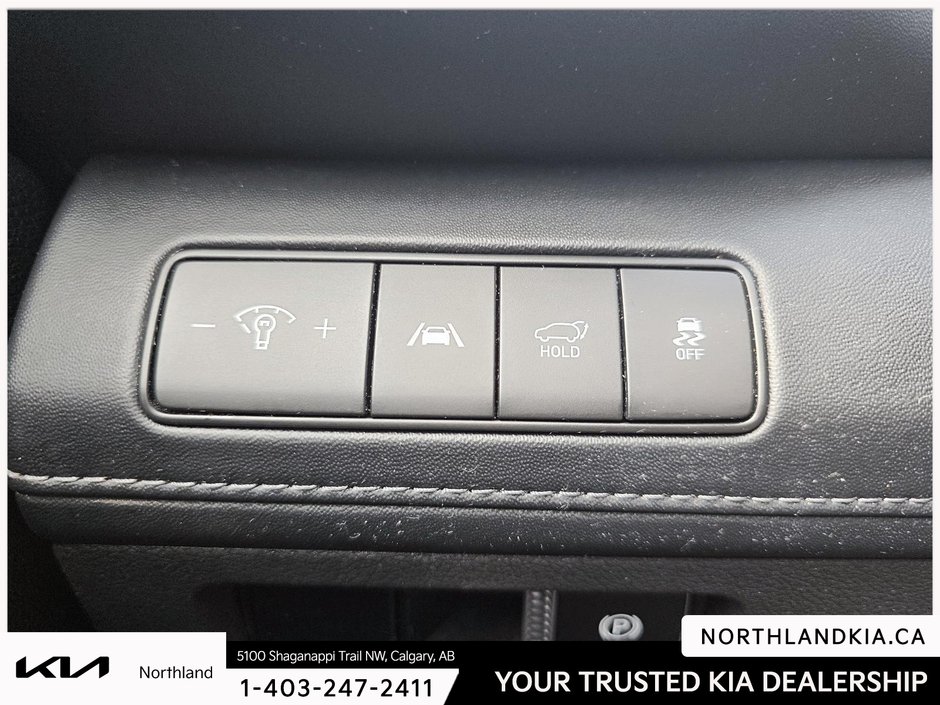 2021 Hyundai Santa Fe Ultimate-8