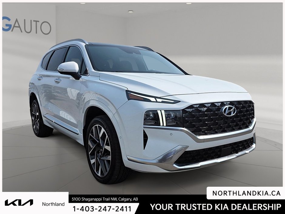 2023 Hyundai Santa Fe Ultimate-4