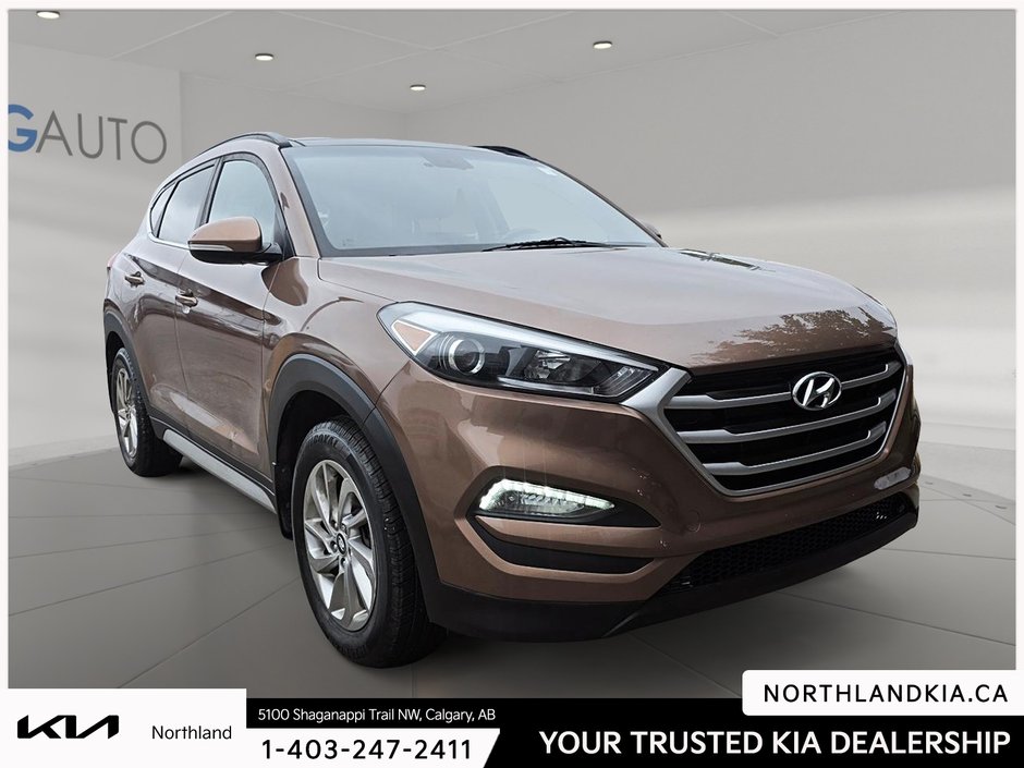 2017 Hyundai Tucson Luxury-4