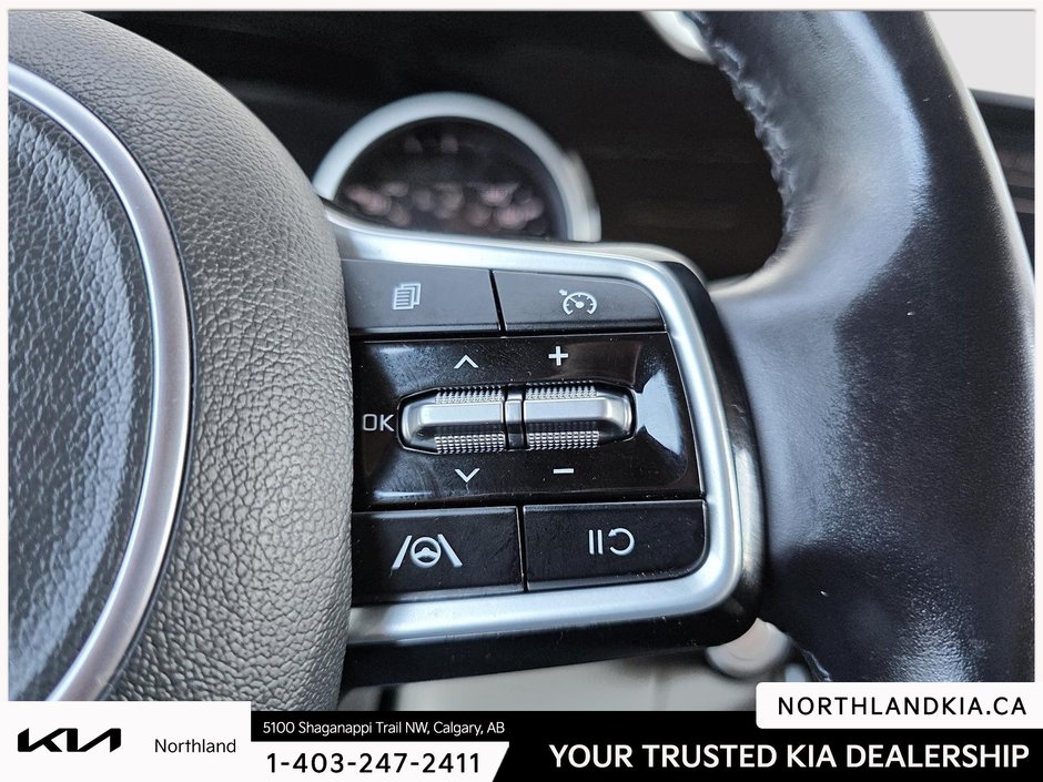 2024 Kia Carnival LX-13