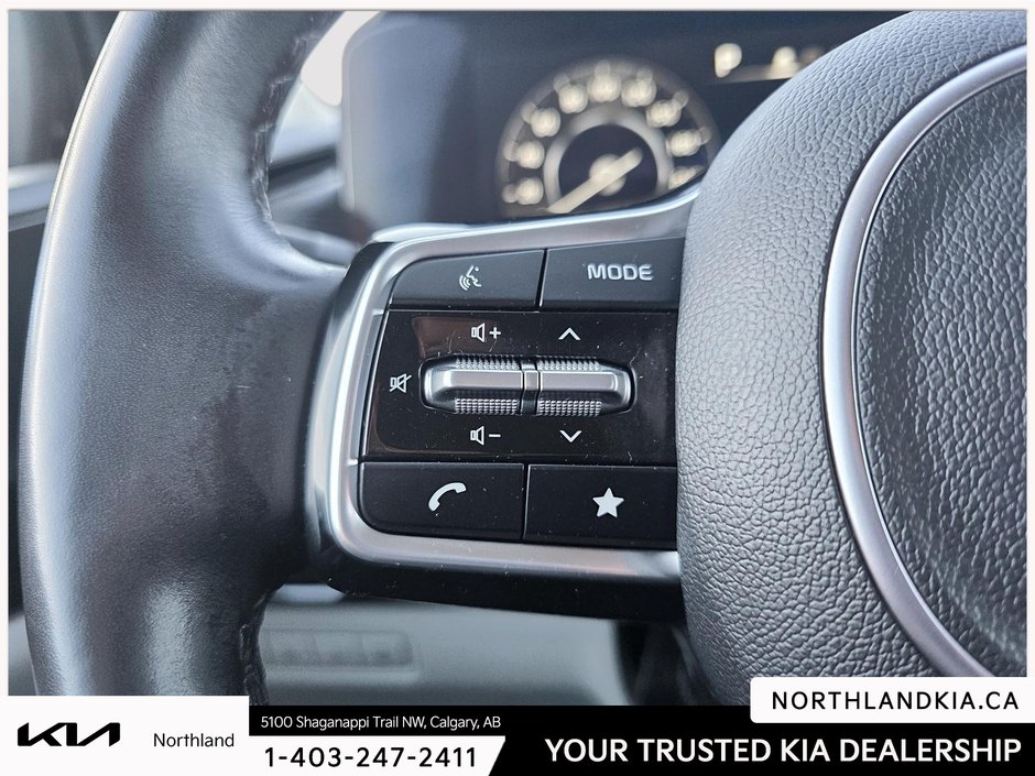 2024 Kia Carnival EX-8