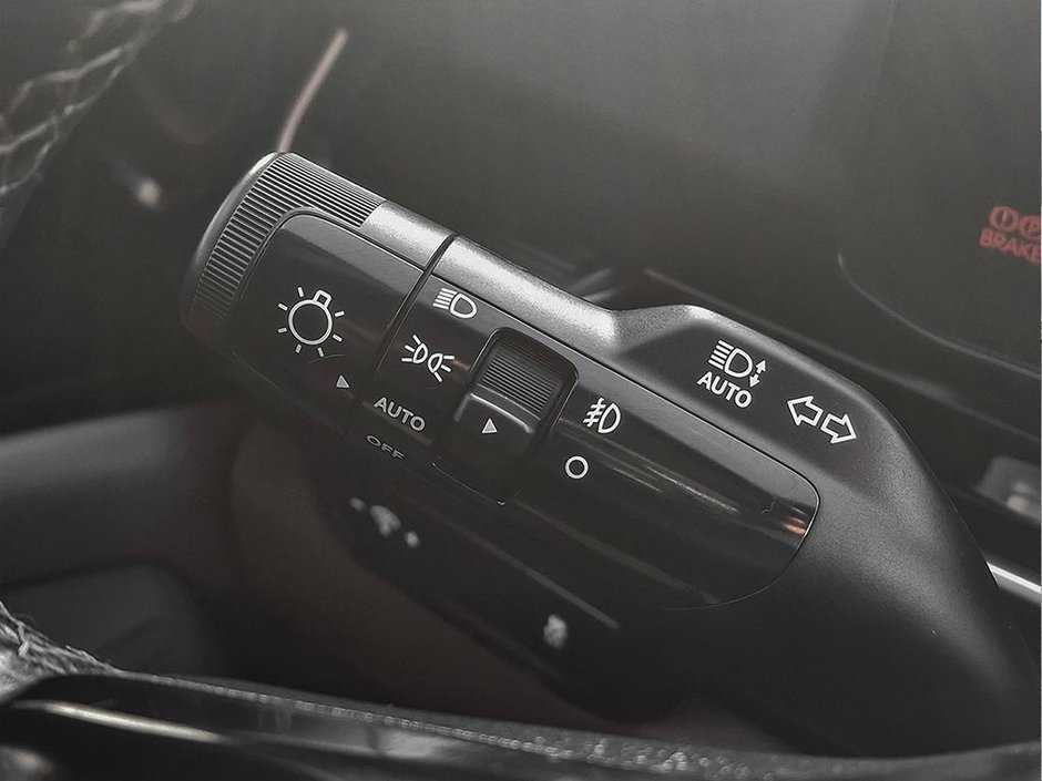 2026 Kia Carnival SX+-24