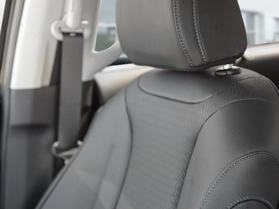 2026 Kia Carnival SX+-18
