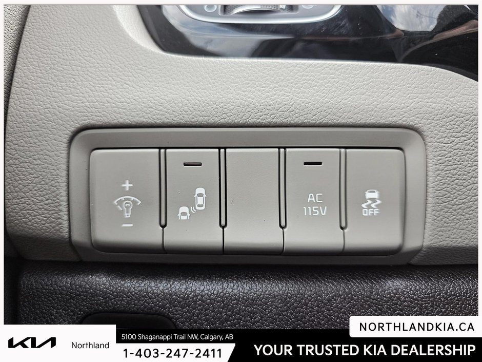 2017 Kia Sedona SXL-8