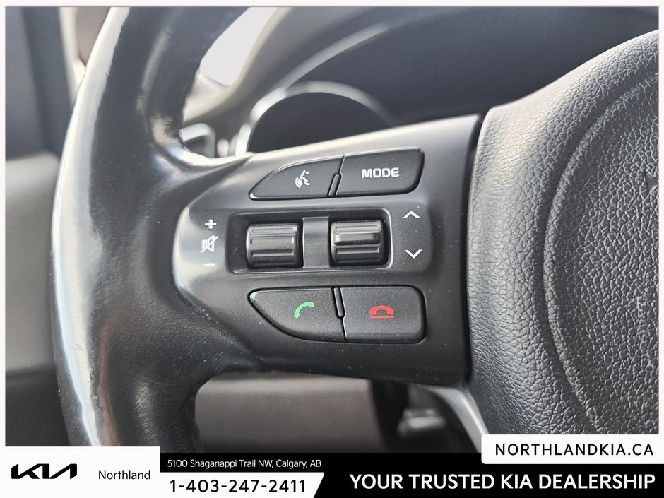 2018 Kia Sedona SXL-12