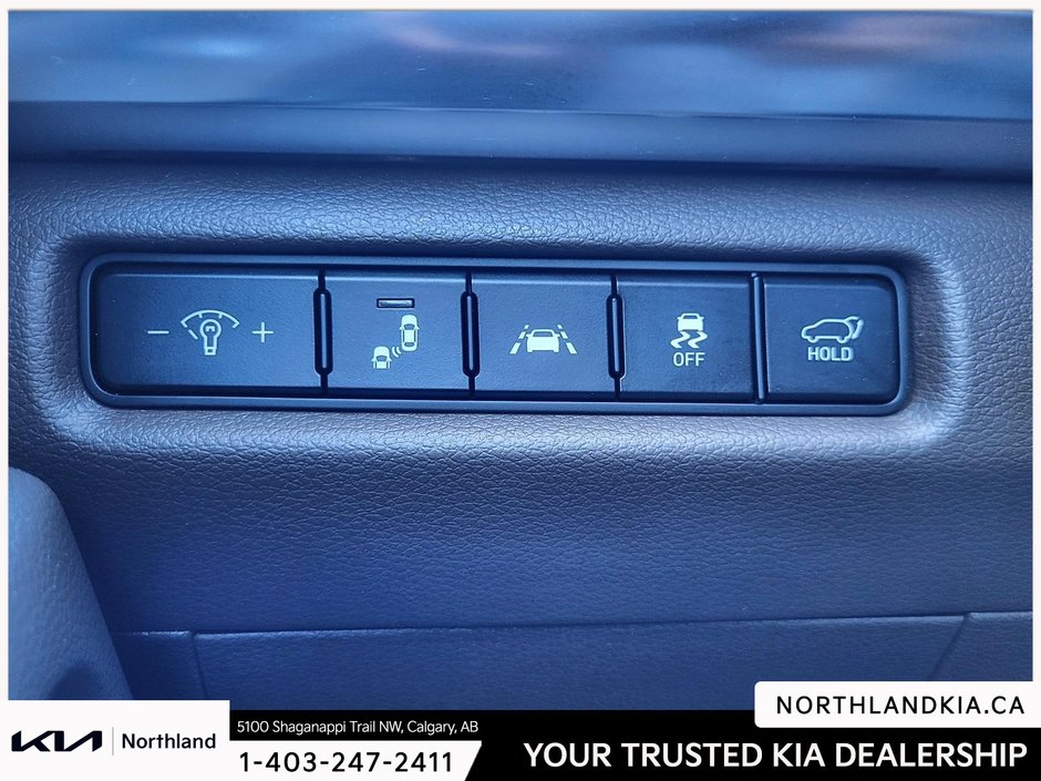 2020 Kia Telluride SX-8