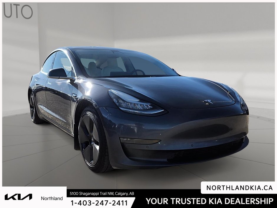 2020 Tesla Model 3 Long Range-4