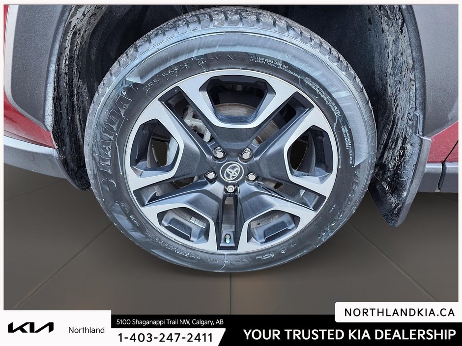 2019 Toyota RAV4 Trail-6