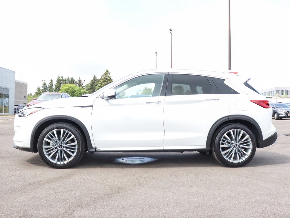 2024 Infiniti QX50 Sensory-4
