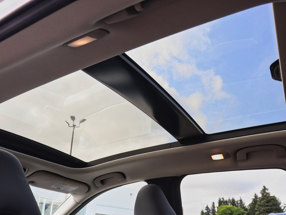 2024 Infiniti QX50 Sensory-16