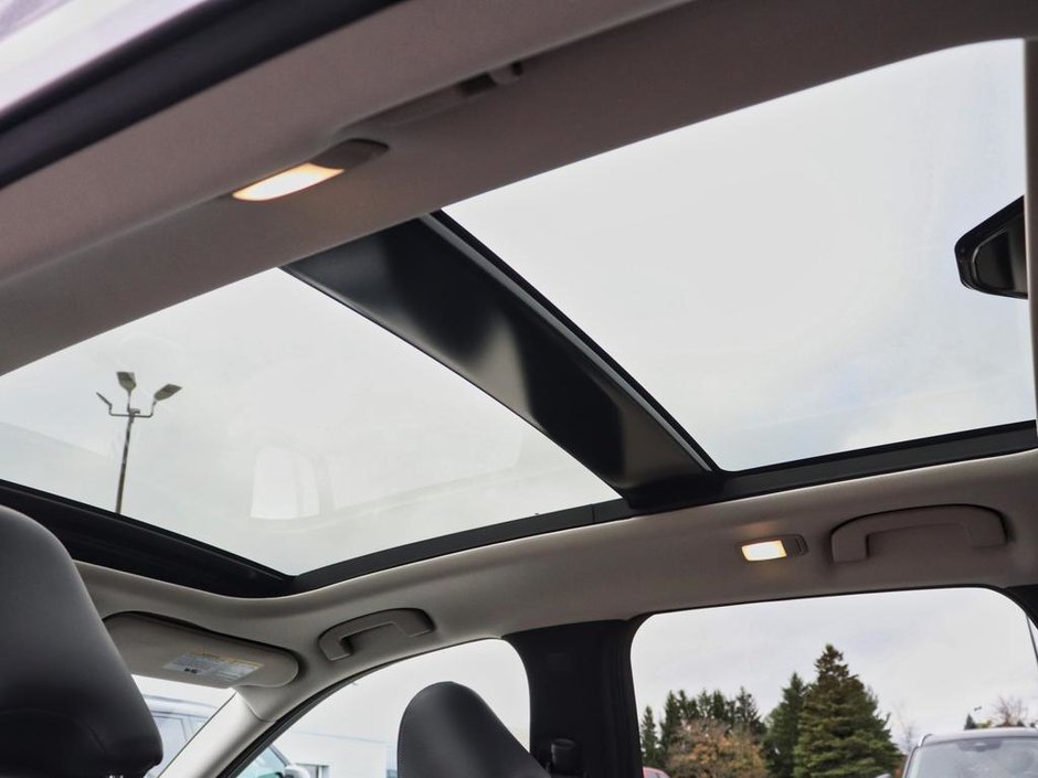 2024 Infiniti QX50 Sensory-17