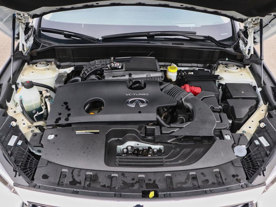 2024 Infiniti QX50 Sensory-24