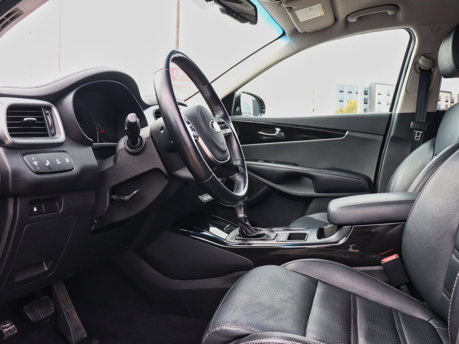 2019 Kia Sorento EX-8