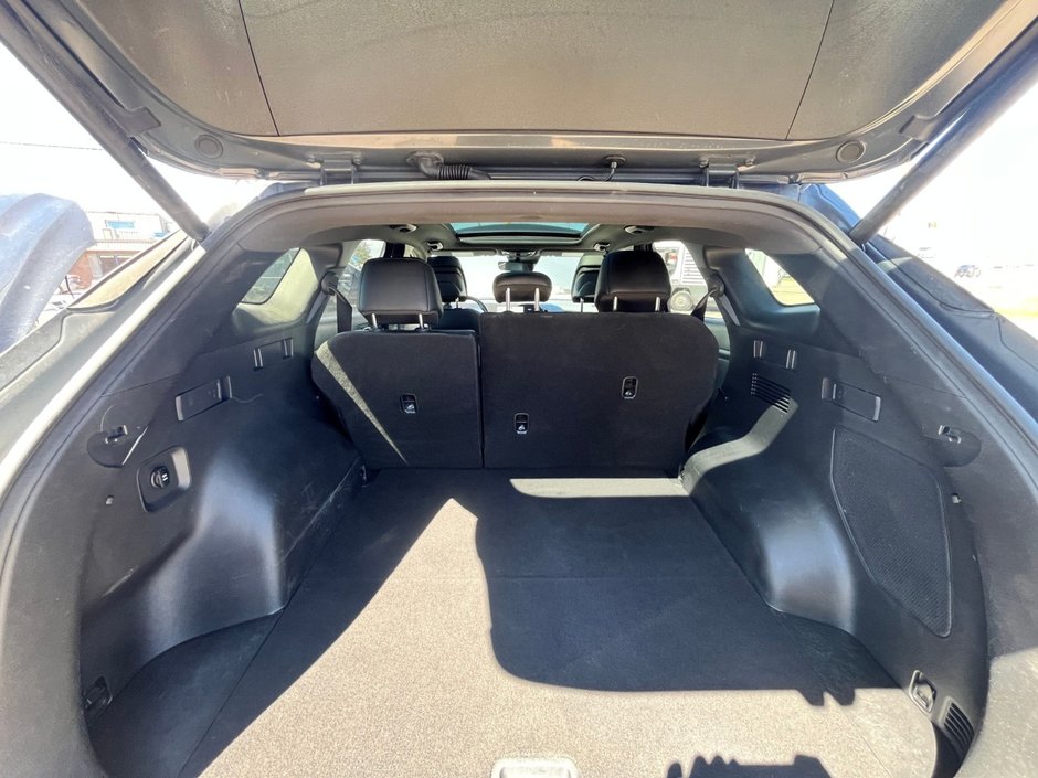 2024 Kia Sportage X-Line Limited-20