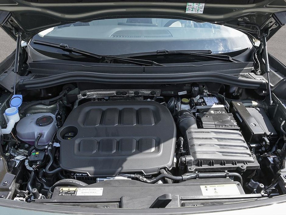 2025 Volkswagen Tiguan Comfortline Pano Roof / Avacado Green