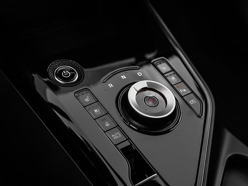 2025 Kia Niro EV Wave-16