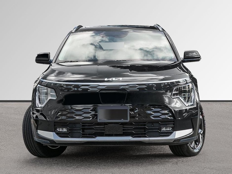 2025 Kia Niro EV Wave-2