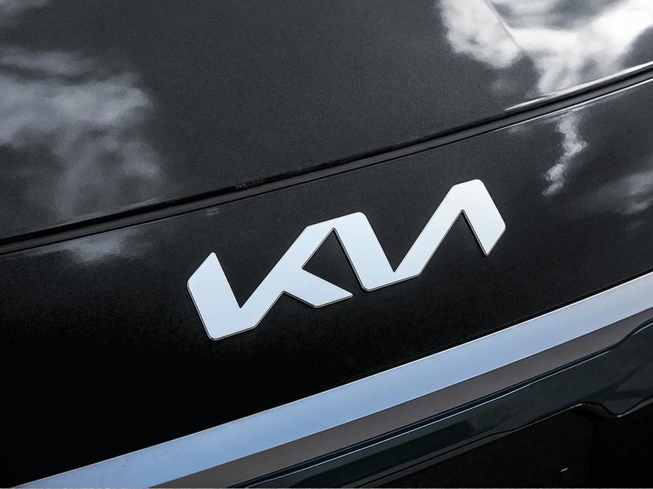 2025 Kia Niro EV Wave-8